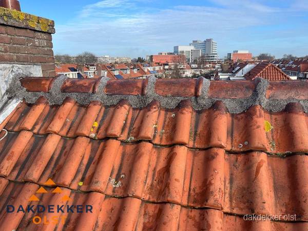 Pannendak met nokvorst en schoorsteen, dakrenovatie in Olst Pannendak met nokvorst en schoorsteen, dakrenovatie in Olst